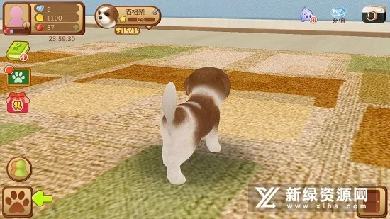 心动小狗(小狗养成游戏) 心动小狗(小狗养成游戏)
