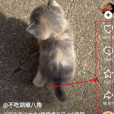 ���2026�ٷ����°汾