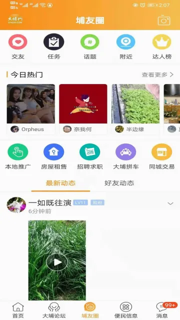 大埔网2026最新版本 大埔网2026最新版本