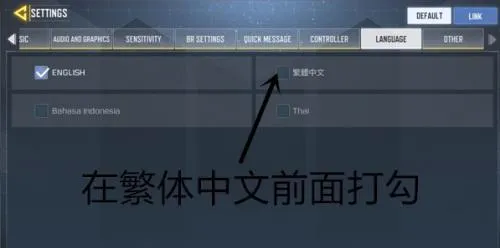codm国际服(枪战射击游戏)