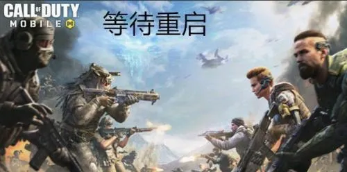 codm国际服(枪战射击游戏)