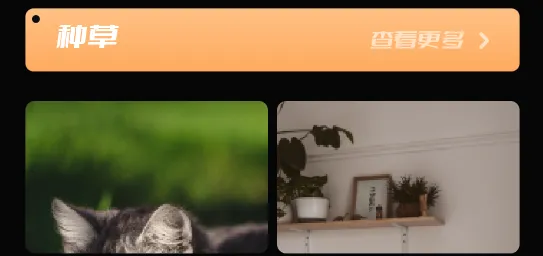 49图库(彩票壁纸软件) 49图库(彩票壁纸软件)