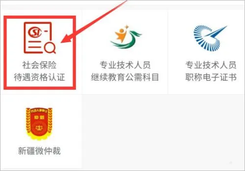新疆智慧人社(新疆人社服务平台) 新疆智慧人社(新疆人社服务平台)