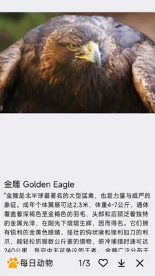ÿ�ն��ﰲ׿���ֻ���v1.0.0 ��׿���ͼ