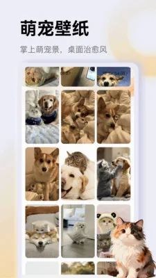 ����è��app��׿���ֻ���v1.3 ��׿���ͼ