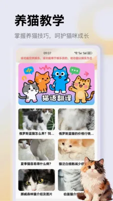 ����è��app��׿���ֻ���v1.3 ��׿���ͼ
