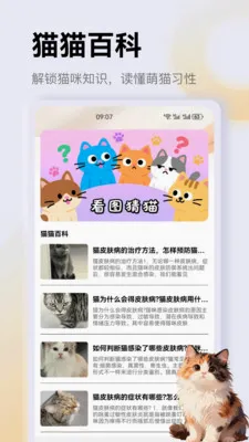����è��app��׿���ֻ���v1.3 ��׿���ͼ