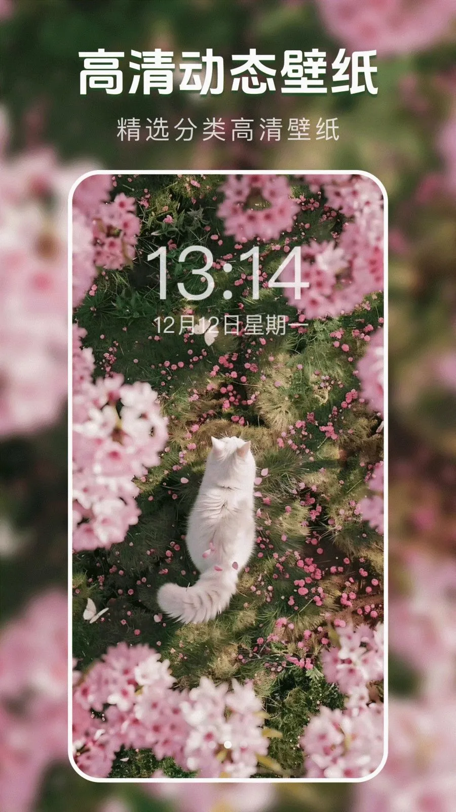 ��̬�����ֽ��2026�ٷ����°汾v1.0.0 �ֻ����ͼ