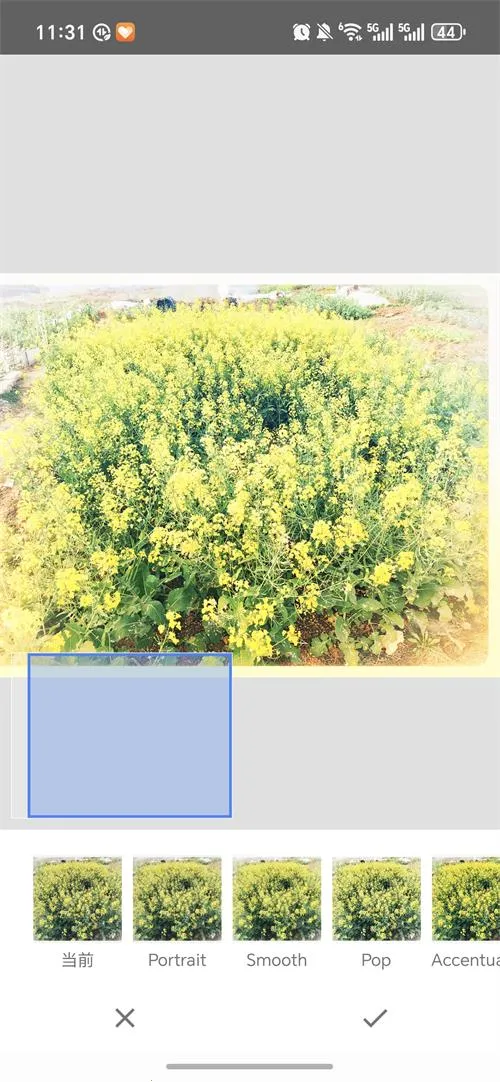 BetterSeed(רҵ��ͼ����)v2.22.0.633363672 ��׿���ͼ