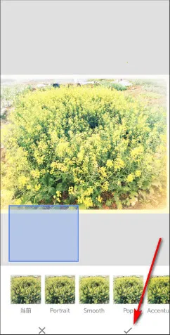 BetterSeed(רҵ��ͼ����)