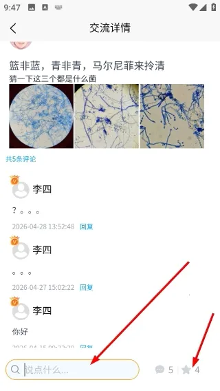 ����ʶ��2026���°汾