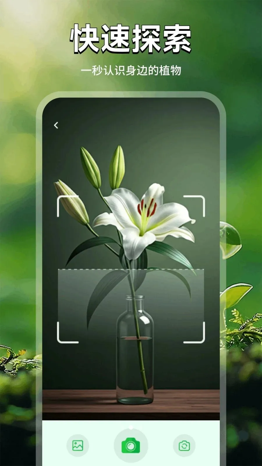���Ļ�2026�ٷ����°汾v1.1 ��Ѱ��ͼ