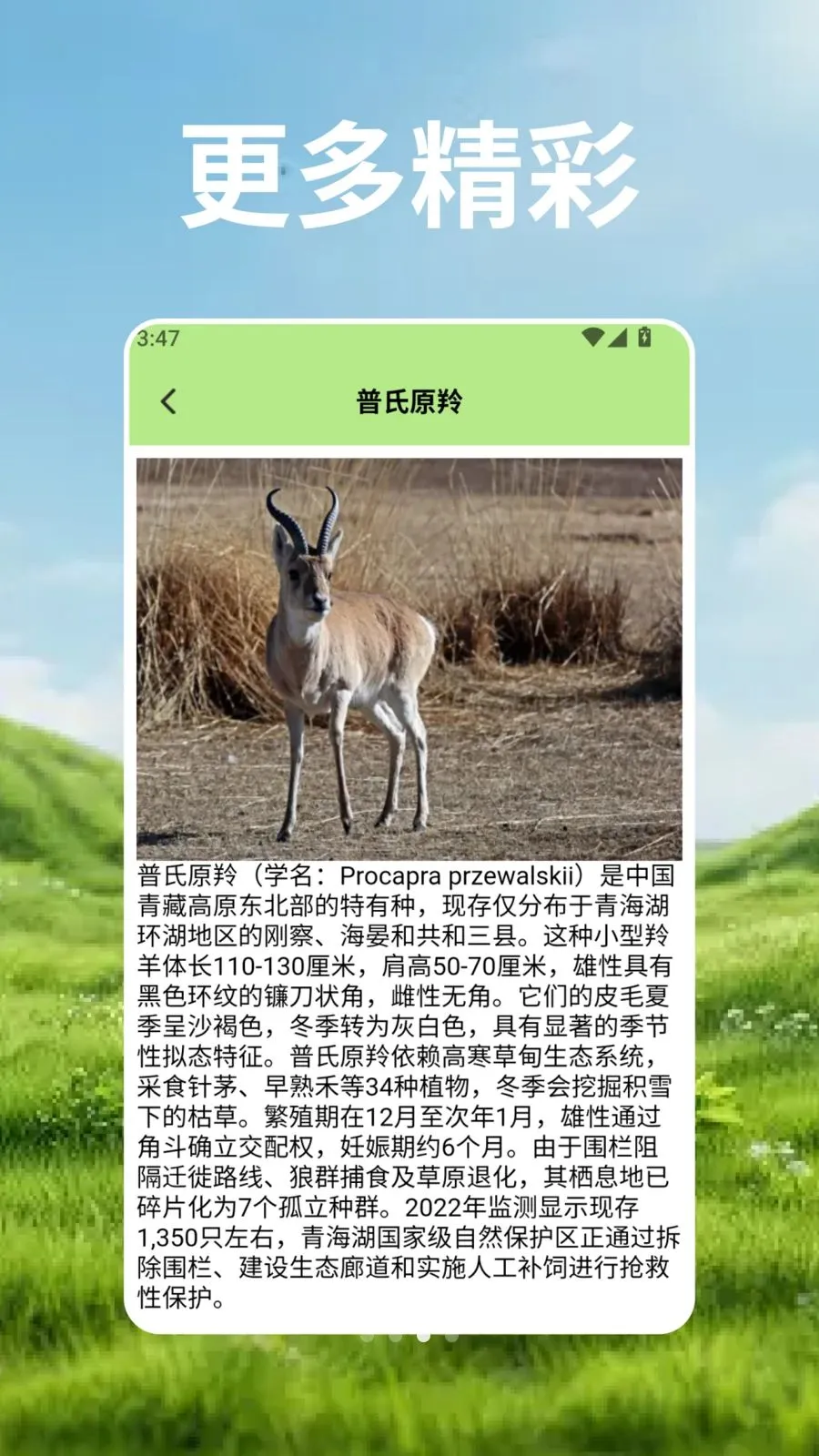 ��Ⱥ�Ŀ�ѧ�������ֻ���v2.3 �ٷ������ͼ