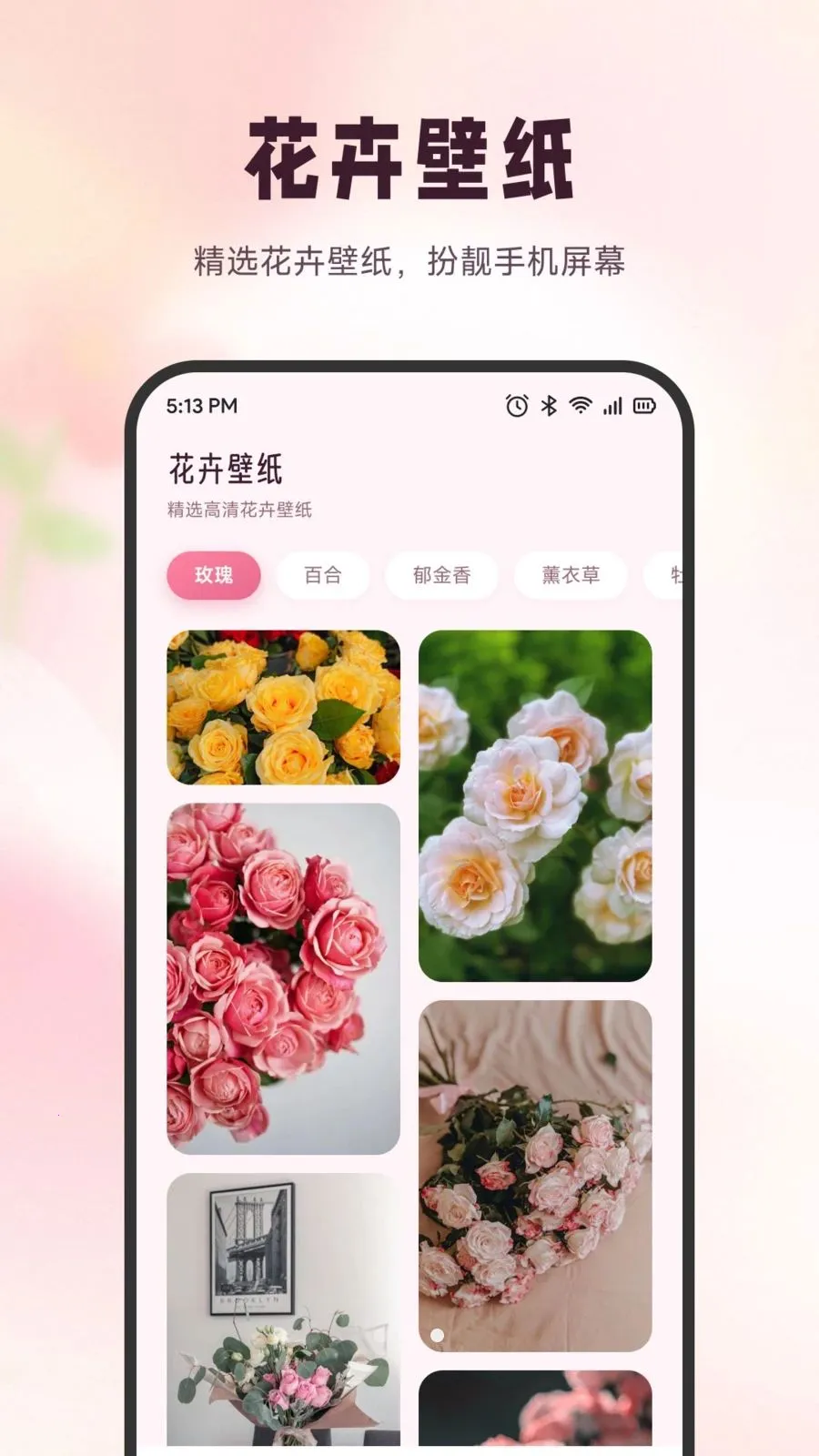 ѩ�ڻ���(ʶ����������)v1.6 ��Ѱ��ͼ